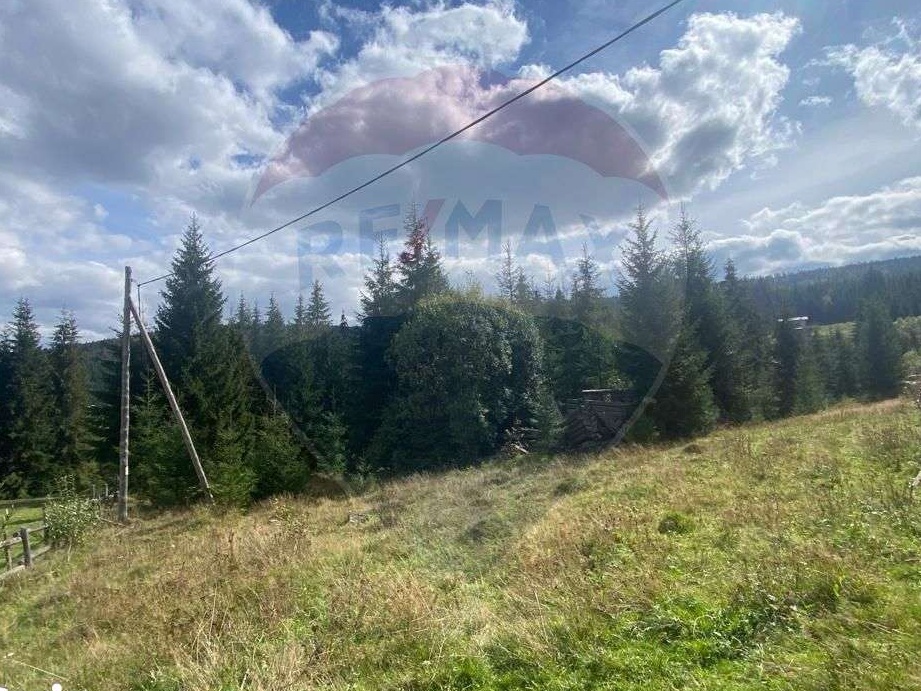 Teren  cabane Smida