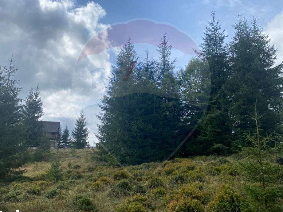 Teren  cabane Smida