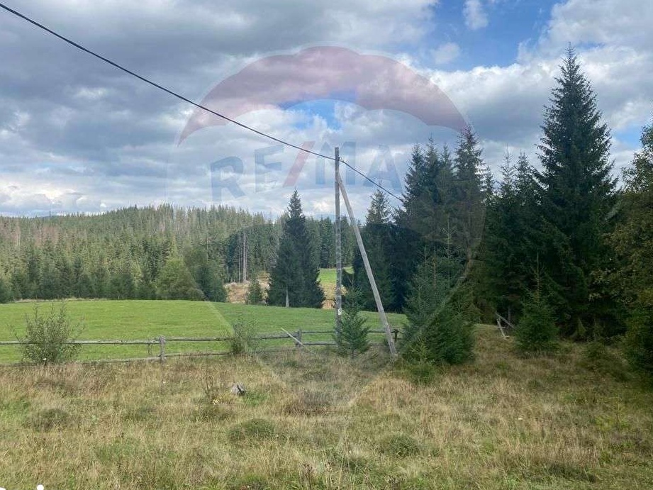 Teren  cabane Smida