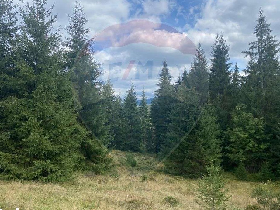 Teren  cabane Smida