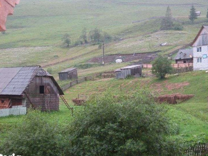 Teren Carlibaba sat Iedu