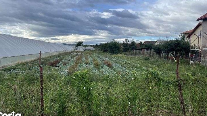 Teren Cartierul Primaverii str:Lișca