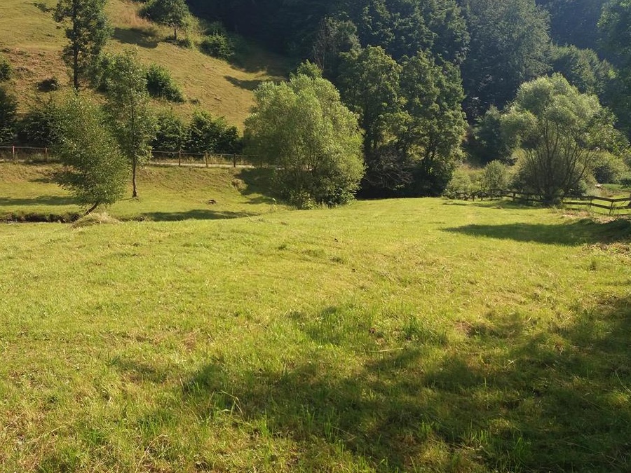 Teren casa vacanta IEZER