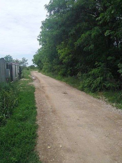 Teren Clinceni zona Olteni - Particular
