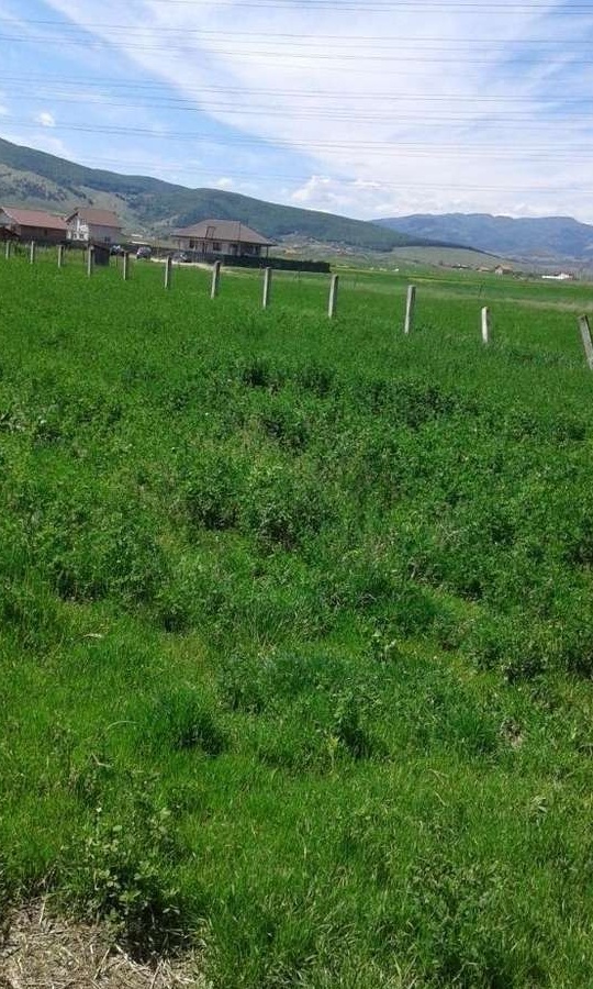 Teren constructie casa, cu utilitati