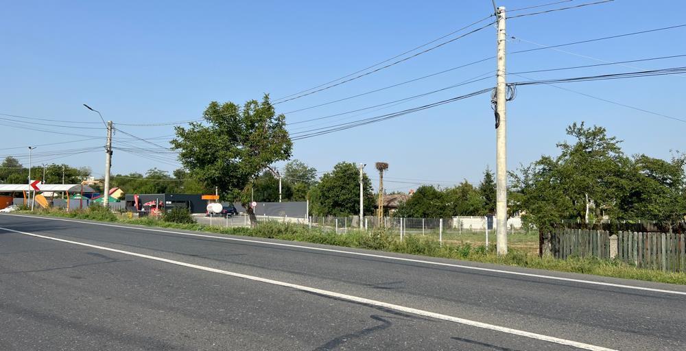 Teren Curti Constructii 1100 mp Copaciu,jud.Giurgiu,DN6