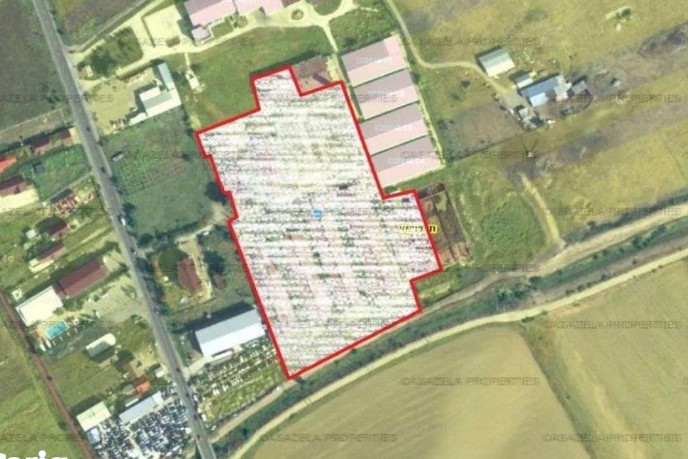 Teren curti constructii 24.528 mp in Vernesti, Jud Buzau