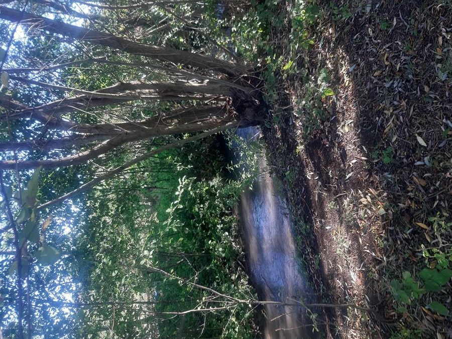 Teren de vânzare 50  m2