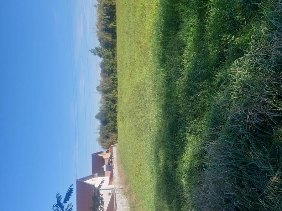 Teren de vânzare 50  m2
