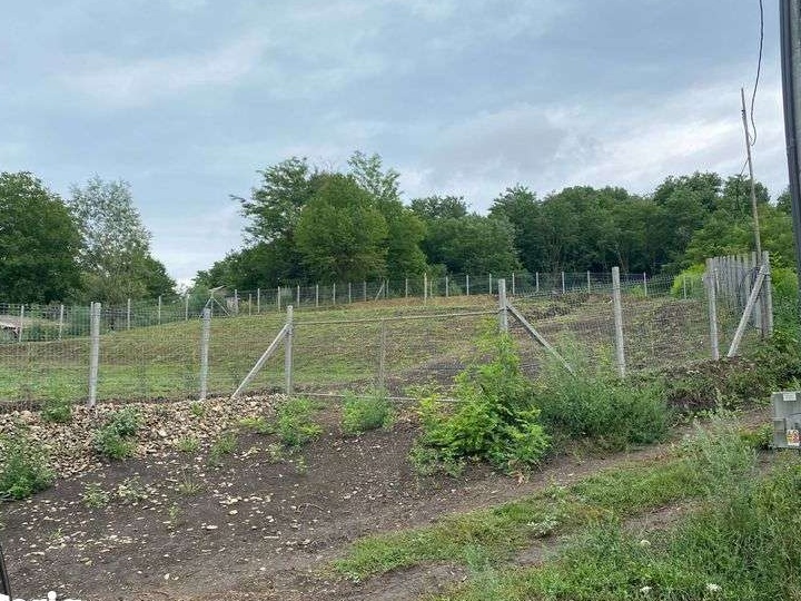 Teren de vanzare Com Bunesti .jud Suceava.