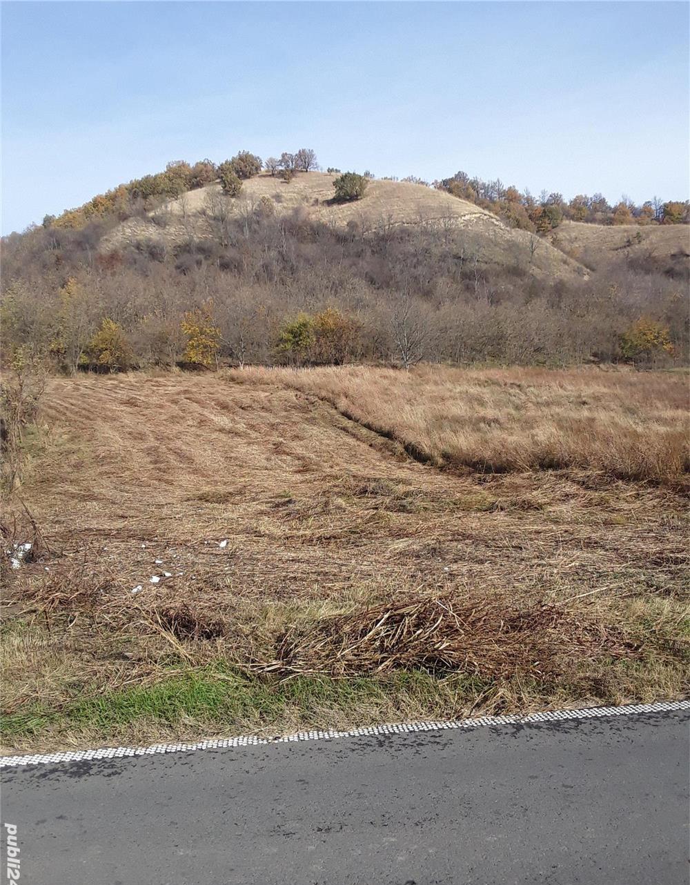 Teren de vanzare Divici