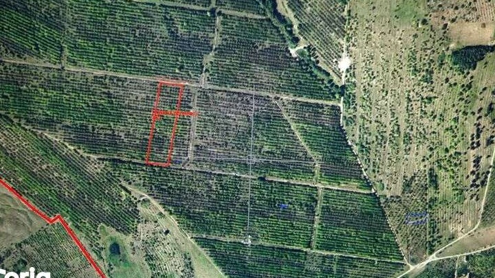 Teren de vanzare, in Zalau, 10200 mp