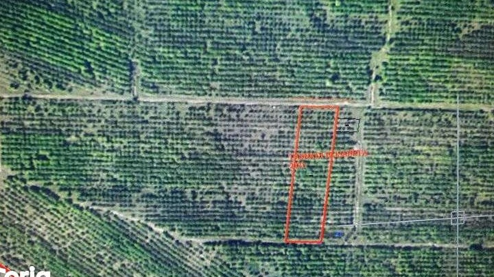 Teren de vanzare, in Zalau, 10200 mp