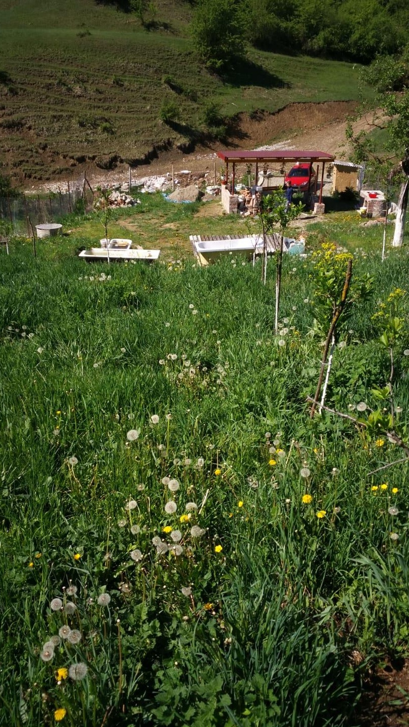 teren de vanzare intravilan