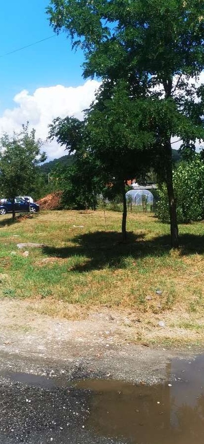 Teren de vânzare intravilan Copacelu
