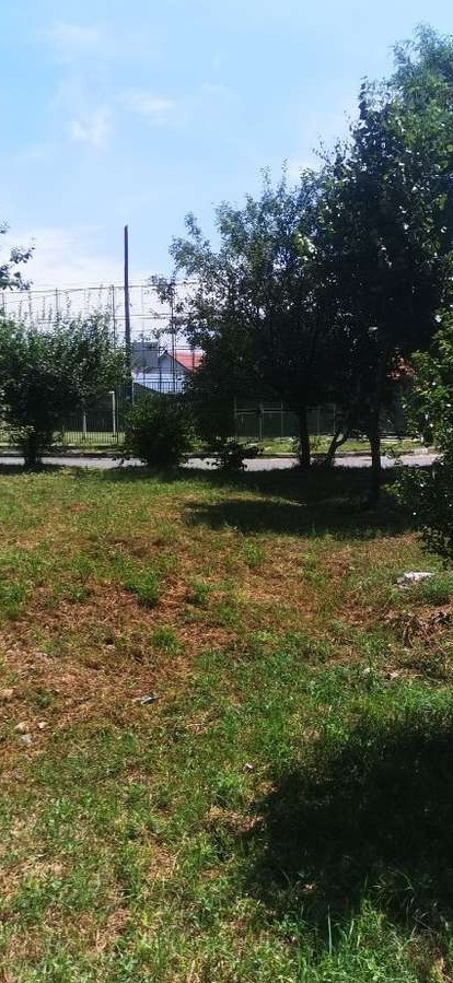 Teren de vânzare intravilan Copacelu