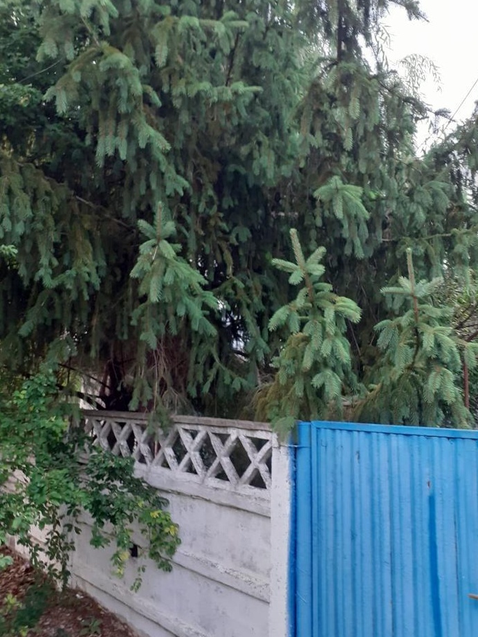 Teren de vanzare Prahova