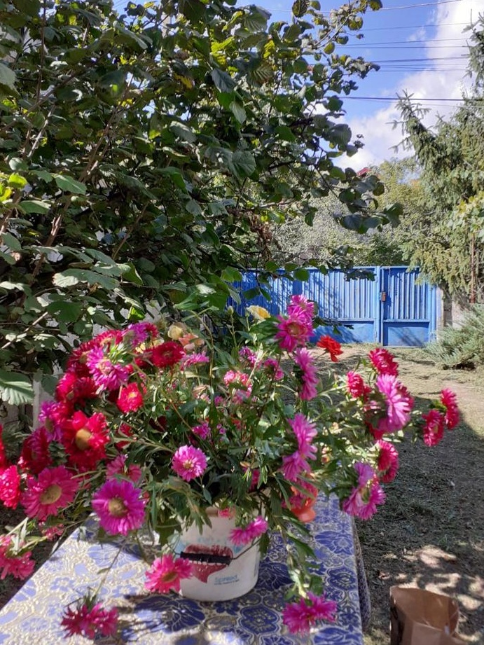 Teren de vanzare Prahova