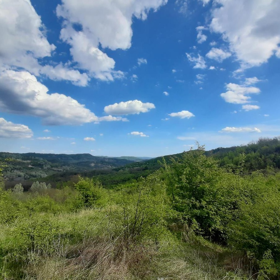 Teren de vânzare Predeal Sarari Prahova