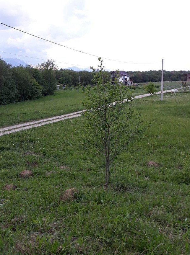 Teren de vanzare zona Glajerie - Rasnov