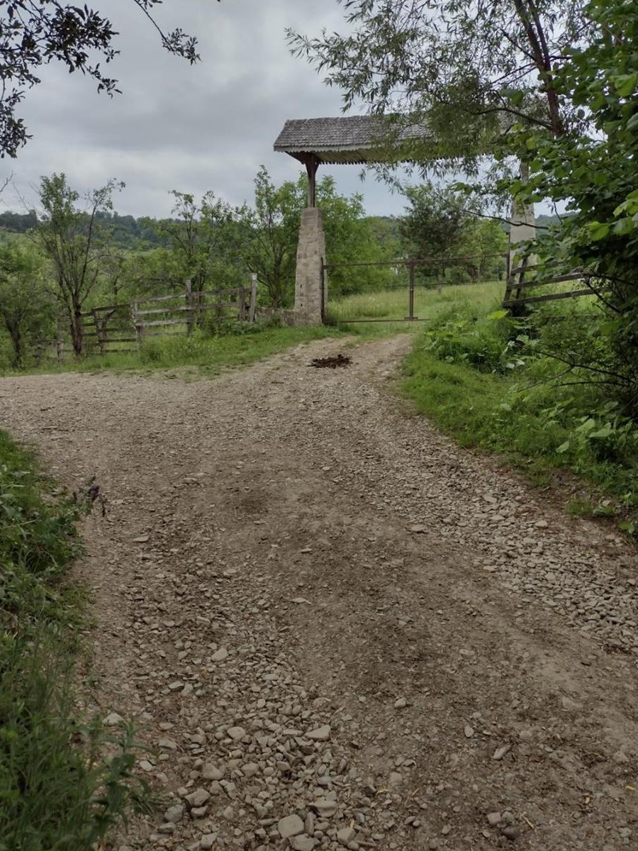 Teren deosebit,intravilan,utilitati,1,5 ha, Valenii de Munte,Drajna