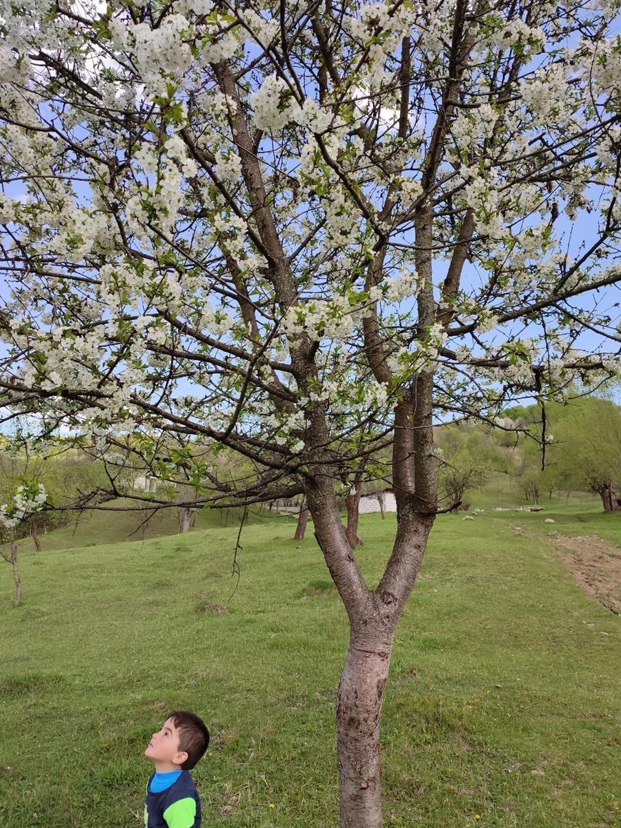 Teren deosebit,intravilan,utilitati,1,5 ha, Valenii de Munte,Drajna