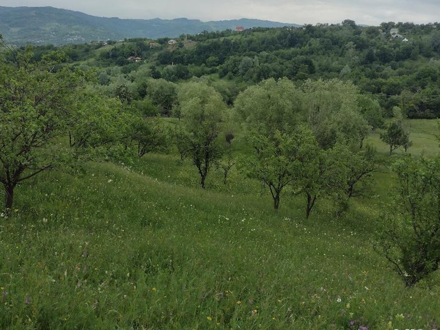 Teren deosebit,intravilan,utilitati,1,5 ha, Valenii de Munte,Drajna