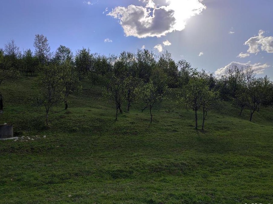 Teren deosebit,intravilan,utilitati,1,5 ha, Valenii de Munte,Drajna