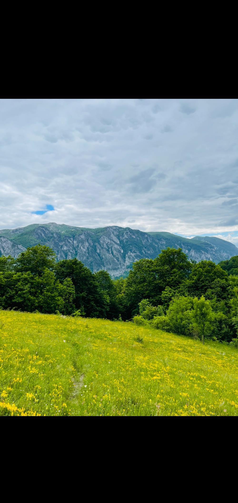 Teren Dobraia Inelet