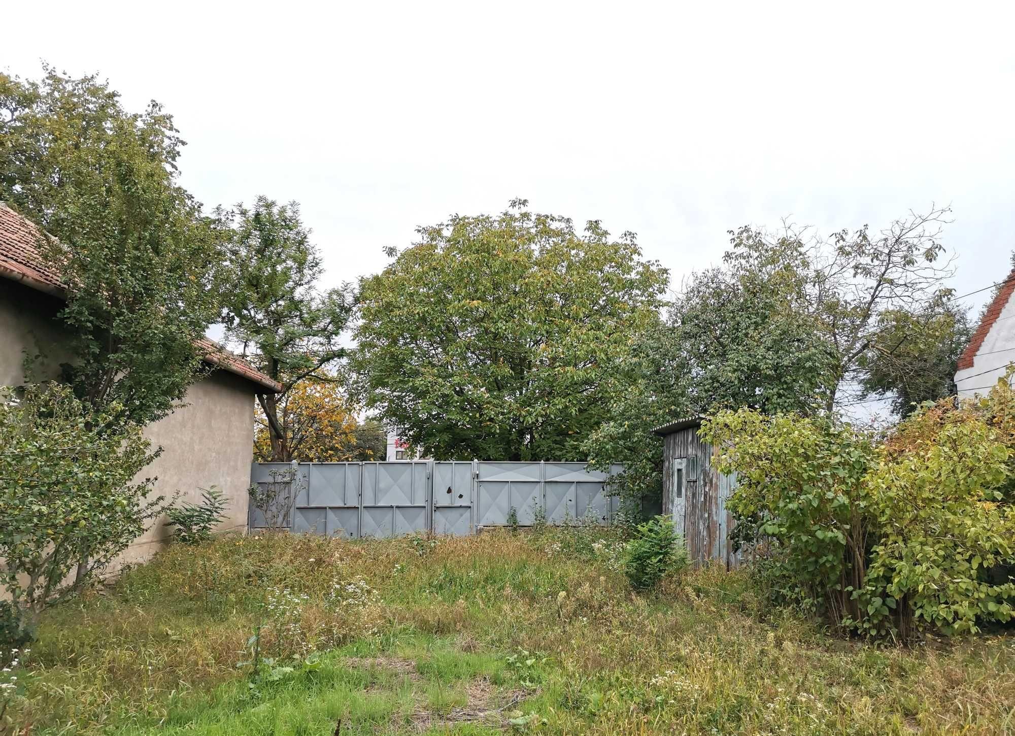 Teren excelent pt CASA/CASA+SAD, cu pomi, utilitati, Calea Buziasului
