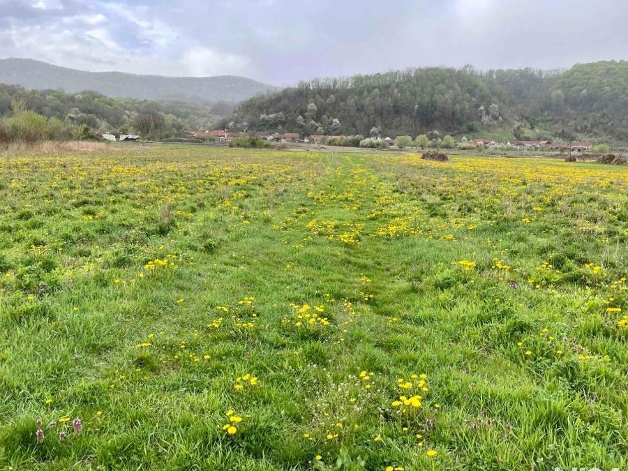 Teren extravilan 1800 mp pt Cabana sau Rulota