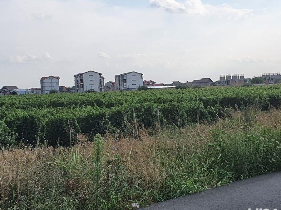 Teren extravilan 2.500 mp Odobesti(Unirea).