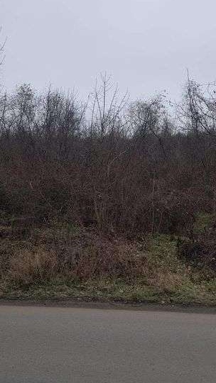 Teren extravilan 5000 mp judetul Giurgiu