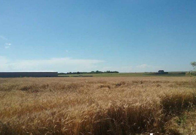 Teren extravilan de 2000 mp in Techirghiol, Constanta
