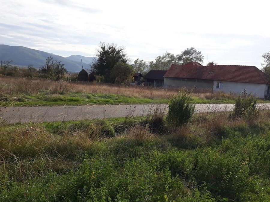 Teren extravilan intabulat sat Boz comuna Branisca