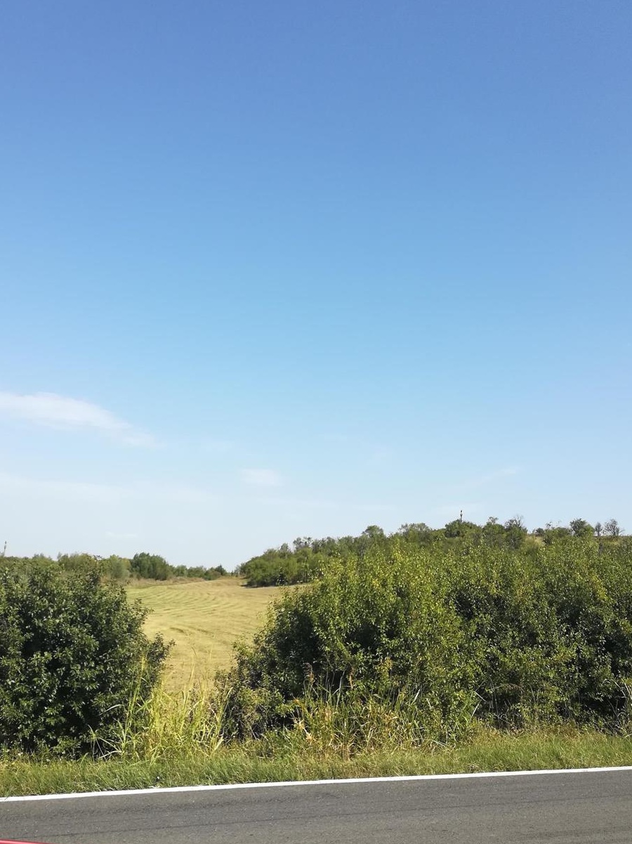 TEREN -fanete 5000 mp. la 25 km de Timișoara-Carani(Baile Calacea)