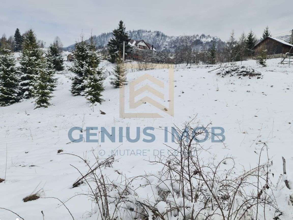 Teren in Colibita cu acces la Lac