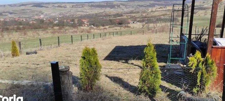 Teren in sat Corusu