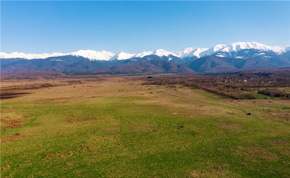 Teren Intravilan 10 ha - Valea Avrigului