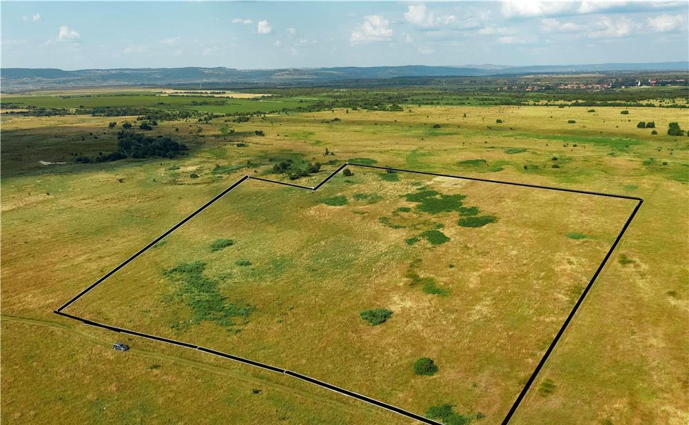 Teren Intravilan 10 ha - Valea Avrigului