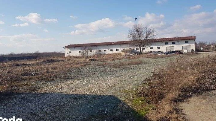 Teren intravilan 12500mp cu 3 hale