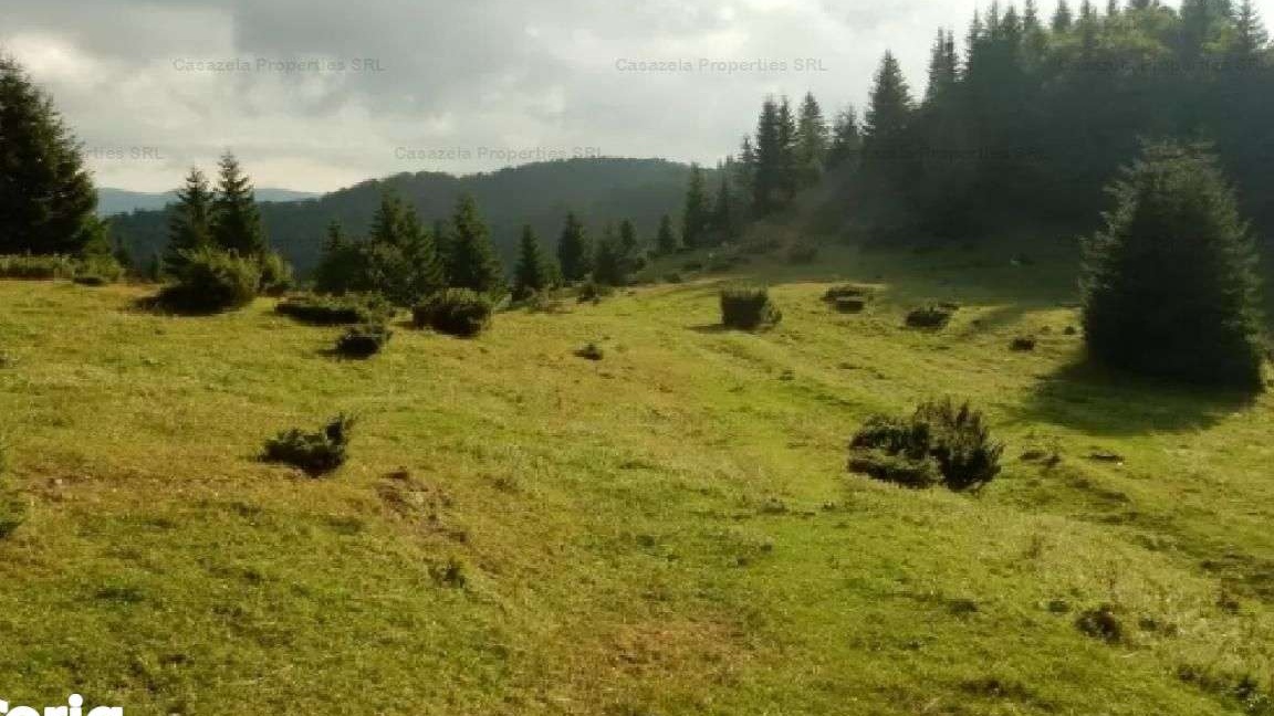 Teren intravilan 1395 mp , Pietroasa sat Boga ,Bihor