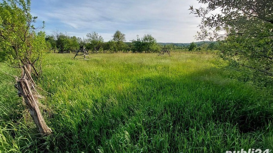 Teren intravilan 2000 mp- Aninoasa, jud Arges
