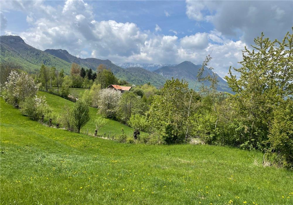Teren intravilan 2200 mp in zona Bran-Tohanita, la 15 km de Moieciu