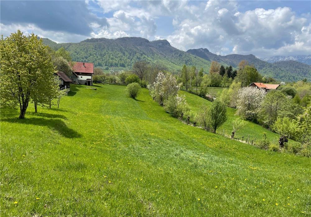 Teren intravilan 2200 mp in zona Bran-Tohanita, la 15 km de Moieciu