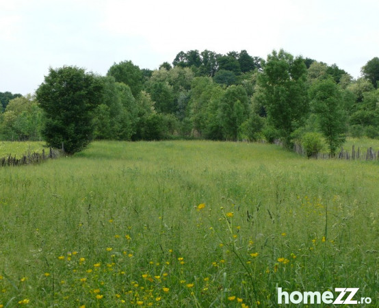 Teren intravilan 2700mp, ideal pentru casa de vacanta