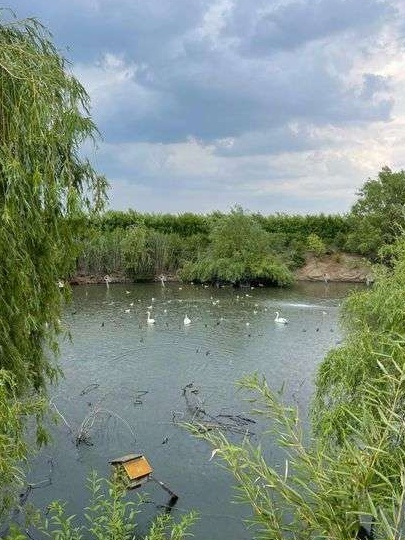 Teren intravilan 3 hectare zona Aeroportului Arad