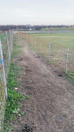 Teren intravilan 3 hectare zona Aeroportului Arad