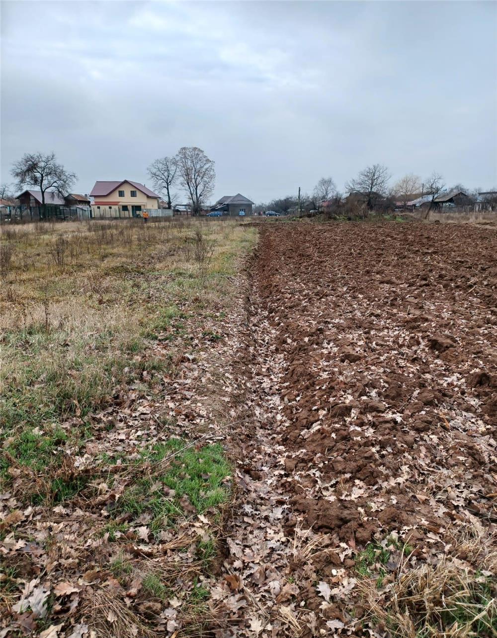 Teren Intravilan 3200mp Bolovani jud Dambovita Contesti