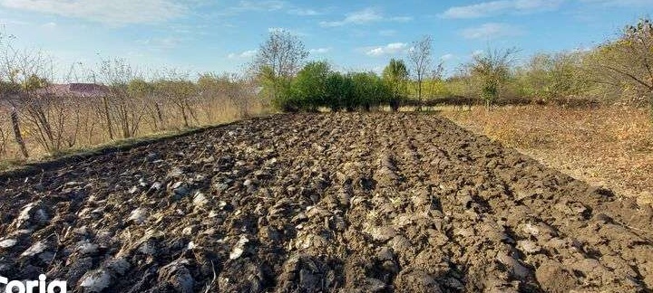 Teren intravilan 500mp Sinesti Ialomita